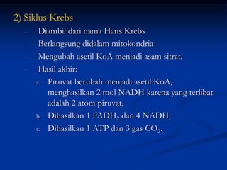 2) Siklus Krebs
- Diambil dari nama Hans Krebs
- Berlangsung didalam mitokondria
- Mengubah asetil KoA menjadi asam sitrat.
- Hasil akhir:
a. Piruvat berubah menjadi asetil KoA,
menghasilkan 2 mol NADH karena yang terlibat
adalah 2 atom piruvat,
b. Dihasilkan 1 FADH2 dan 4 NADH,
c. Dihasilkan 1 ATP dan 3 gas CO2.
 