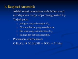 b. Respirasi Anaerobik
- Adalah reaksi pemecahan karbohidrat untuk
mendapatkan energi tanpa menggunakan O2.
- Terjadi pada:
1) Jaringan yang kekurangan O2,
2) Akar tumbuhan yang terendam air,
3) Biji tebal yang sulit ditembus O2,
4) Sel ragi dan bakteri anaerobik.
- Persamaan sederhananya:
C6H12O6  2C2H5OH + 2CO2 + 21 kkal
 