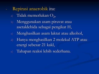 - Repirasi anaerobik itu:
a) Tidak memerlukan O2,
b) Menggunakan asam piruvat atau
asetaldehida sebagai pengikat H,
c) Menghasilkan asam laktat atau alkohol,
d) Hanya menghasilkan 2 molekul ATP atau
energi sebesar 21 kakl,
e) Tahapan reaksi lebih sederhana.
 