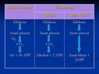 Repirasi seluler Fermentasi
Alkohol Asam laktat
Glukosa
Asam piruvat
O2
CO2
Air + 36 ATP
Glukosa
Asam piruvat
CO2
Alkohol + 2 ATP
Glukosa
Asam piruvat
Asam laktat +
2ATP
 