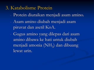 3. Katabolisme Protein
- Protein diuraikan menjadi asam amino.
- Asam amino diubah menjadi asam
piruvat dan asetil KoA.
- Gugus amino yang dilepas dari asam
amino dibawa ke hati untuk diubah
menjadi amonia (NH3) dan dibuang
lewat urin.
 
