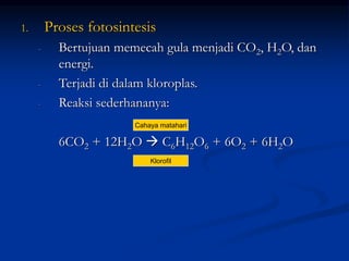 1. Proses fotosintesis
- Bertujuan memecah gula menjadi CO2, H2O, dan
energi.
- Terjadi di dalam kloroplas.
- Reaksi sederhananya:
6CO2 + 12H2O  C6H12O6 + 6O2 + 6H2O
Cahaya matahari
Klorofil
 