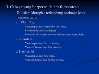 3. Cahaya yang berperan dalam fotosintesis
- Di dalam kloroplas terkandung beebrapa jenis
pigmen, yaitu:
a) Klorofil a,
- Menyerap cahaya merah dan biru-ungu.
- Berperan dalam reaksi terang.
- Berwarna hijau karena memantulkan cahaya warna hijau.
b) Klorofil b,
- Menyerap cahaya biru dan oranye.
- Memantulkan cahaya hijau-kuning.
c) Karotenoid
- Menyerap cahaya biru-hijau.
- Memantulkan cahaya kuning-oranye.
 
