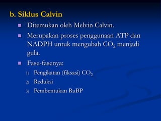 b. Siklus Calvin
 Ditemukan oleh Melvin Calvin.
 Merupakan proses penggunaan ATP dan
NADPH untuk mengubah CO2 menjadi
gula.
 Fase-fasenya:
1) Pengikatan (fiksasi) CO2
2) Reduksi
3) Pembentukan RuBP
 