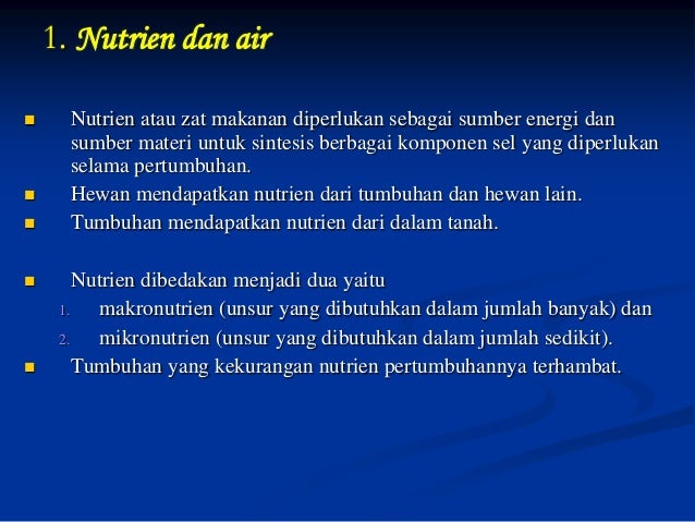 pertumbuhan dan perkembangan pada tumbuhan