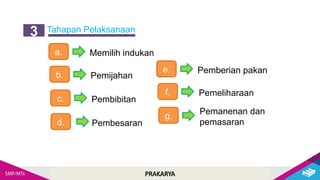 PRAKARYA
Tahapan Pelaksanaan
3
a. Memilih indukan
b. Pemijahan
c. Pembibitan
d. Pembesaran
e. Pemberian pakan
f. Pemeliharaan
g.
Pemanenan dan
pemasaran
 