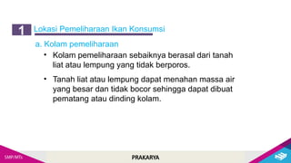 PRAKARYA
Lokasi Pemeliharaan Ikan Konsumsi
1
• Kolam pemeliharaan sebaiknya berasal dari tanah
liat atau lempung yang tidak berporos.
• Tanah liat atau lempung dapat menahan massa air
yang besar dan tidak bocor sehingga dapat dibuat
pematang atau dinding kolam.
a. Kolam pemeliharaan
 