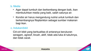 PRAKARYA
b. Media
• Agar dapat tumbuh dan berkembang dengan baik, ikan
membutuhkan media yang baik, salah satunya air.
• Kondisi air harus mengandung nutrisi untuk tumbuh dan
berkembangnya fitoplankton sebagai sumber makanan
bagi ikan.
c. Indukan/bibit
Ciri-ciri bibit yang berkualitas di antaranya berukuran
seragam, agresif, lincah, aktif, tidak ada luka di tubuhnya,
dan tidak cacat.
 