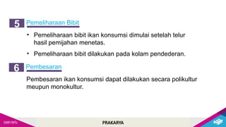 PRAKARYA
Pemeliharaan Bibit
5
• Pemeliharaan bibit ikan konsumsi dimulai setelah telur
hasil pemijahan menetas.
• Pemeliharaan bibit dilakukan pada kolam pendederan.
Pembesaran
6
Pembesaran ikan konsumsi dapat dilakukan secara polikultur
meupun monokultur.
 