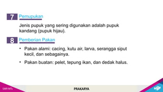 PRAKARYA
Pemupukan
7
Jenis pupuk yang sering digunakan adalah pupuk
kandang (pupuk hijau).
Pemberian Pakan
8
• Pakan alami: cacing, kutu air, larva, serangga siput
kecil, dan sebagainya.
• Pakan buatan: pelet, tepung ikan, dan dedak halus.
 