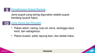 PRAKARYA
Pemeliharaan Kolam/Tambak
9
Jenis pupuk yang sering digunakan adalah pupuk
kandang (pupuk hijau).
Jenis Hama dan Penyakit
10
• Pakan alami: cacing, kutu air, larva, serangga siput
kecil, dan sebagainya.
• Pakan buatan: pelet, tepung ikan, dan dedak halus.
 