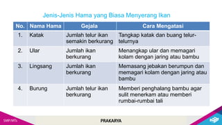 PRAKARYA
Jenis-Jenis Hama yang Biasa Menyerang Ikan
No. Nama Hama Gejala Cara Mengatasi
1. Katak Jumlah telur ikan
semakin berkurang
Tangkap katak dan buang telur-
telurnya
2. Ular Jumlah ikan
berkurang
Menangkap ular dan memagari
kolam dengan jaring atau bambu
3. Lingsang Jumlah ikan
berkurang
Memasang jebakan berumpun dan
memagari kolam dengan jaring atau
bambu
4. Burung Jumlah telur ikan
berkurang
Memberi penghalang bambu agar
sulit menerkam atau memberi
rumbai-rumbai tali
 
