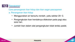 PRAKARYA
Pascapanen
12
Cara penanganan ikan hidup dan ikan segar pascapanen
a. Penanganan ikan hidup
• Menggunakan air bersuhu rendah, yaitu sekitar 20◦ C.
• Pengangkutan ikan hendaknya dilakukan pada pagi atau
sore hari.
• Jumlah ikan dalam alat pengangkutan tidak terlalu padat.
 