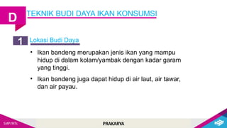 PRAKARYA
TEKNIK BUDI DAYA IKAN KONSUMSI
D
Lokasi Budi Daya
1
• Ikan bandeng merupakan jenis ikan yang mampu
hidup di dalam kolam/yambak dengan kadar garam
yang tinggi.
• Ikan bandeng juga dapat hidup di air laut, air tawar,
dan air payau.
 