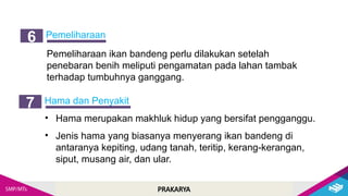 PRAKARYA
Pemeliharaan
6
Pemeliharaan ikan bandeng perlu dilakukan setelah
penebaran benih meliputi pengamatan pada lahan tambak
terhadap tumbuhnya ganggang.
Hama dan Penyakit
7
• Hama merupakan makhluk hidup yang bersifat pengganggu.
• Jenis hama yang biasanya menyerang ikan bandeng di
antaranya kepiting, udang tanah, teritip, kerang-kerangan,
siput, musang air, dan ular.
 