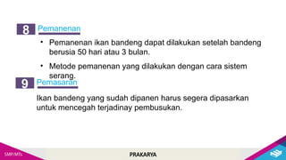 PRAKARYA
Pemanenan
8
Pemasaran
9
Ikan bandeng yang sudah dipanen harus segera dipasarkan
untuk mencegah terjadinay pembusukan.
• Pemanenan ikan bandeng dapat dilakukan setelah bandeng
berusia 50 hari atau 3 bulan.
• Metode pemanenan yang dilakukan dengan cara sistem
serang.
 