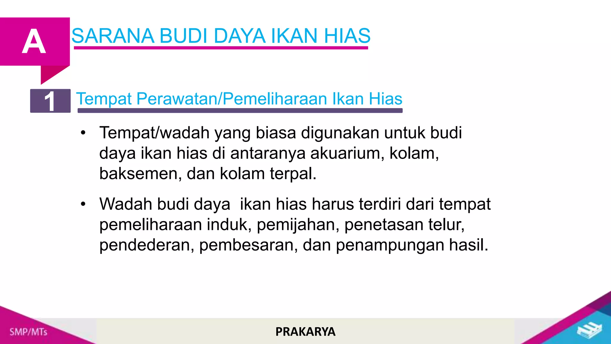 Cara Budidaya Ikan Hias