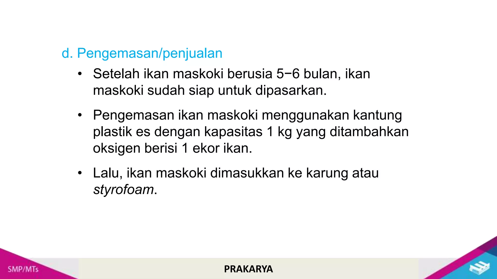 Cara Budidaya Ikan Hias