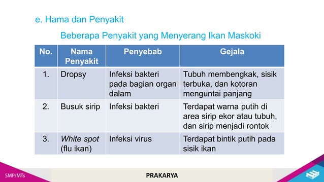 Cara Budidaya Ikan Hias