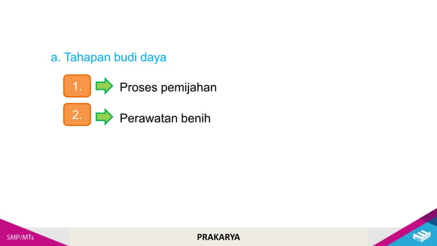 Cara Budidaya Ikan Hias
