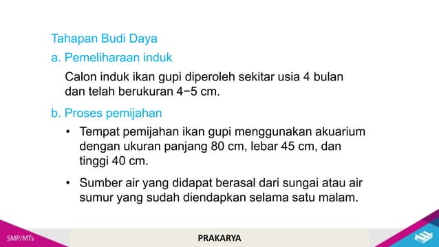 Pemilihan Jenis Ikan Hias