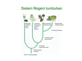 Filogeni powerpoint klasifikasi makhluk hidup.ppt