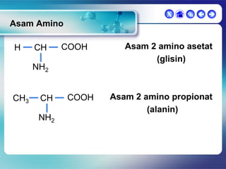X

  

Asam Amino
H

CH

COOH

NH2
CH3

CH
NH2

COOH

Asam 2 amino asetat
(glisin)

Asam 2 amino propionat
(alanin)

 