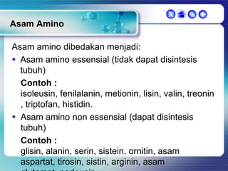 X

 

Asam Amino
Asam amino dibedakan menjadi:
 Asam amino essensial (tidak dapat disintesis
tubuh)
Contoh :
isoleusin, fenilalanin, metionin, lisin, valin, treonin
, triptofan, histidin.
 Asam amino non essensial (dapat disintesis
tubuh)
Contoh :
glisin, alanin, serin, sistein, ornitin, asam
aspartat, tirosin, sistin, arginin, asam

 