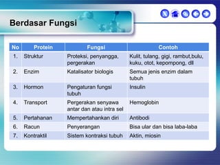 X

  

Berdasar Fungsi
No

Protein

Fungsi

Contoh

1.

Struktur

Proteksi, penyangga,
pergerakan

Kulit, tulang, gigi, rambut,bulu,
kuku, otot, kepompong, dll

2.

Enzim

Katalisator biologis

Semua jenis enzim dalam
tubuh

3.

Hormon

Pengaturan fungsi
tubuh

Insulin

4.

Transport

Pergerakan senyawa
antar dan atau intra sel

Hemoglobin

5.

Pertahanan

Mempertahankan diri

Antibodi

6.

Racun

Penyerangan

Bisa ular dan bisa laba-laba

7.

Kontraktil

Sistem kontraksi tubuh

Aktin, miosin

 
