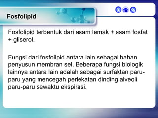 X



Fosfolipid
Fosfolipid terbentuk dari asam lemak + asam fosfat
+ gliserol.
Fungsi dari fosfolipid antara lain sebagai bahan
penyusun membran sel. Beberapa fungsi biologik
lainnya antara lain adalah sebagai surfaktan paruparu yang mencegah perlekatan dinding alveoli
paru-paru sewaktu ekspirasi.

 