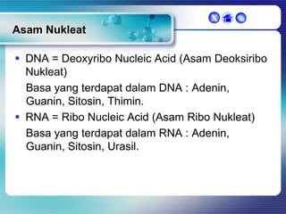 X



Asam Nukleat
 DNA = Deoxyribo Nucleic Acid (Asam Deoksiribo
Nukleat)
Basa yang terdapat dalam DNA : Adenin,
Guanin, Sitosin, Thimin.
 RNA = Ribo Nucleic Acid (Asam Ribo Nukleat)
Basa yang terdapat dalam RNA : Adenin,
Guanin, Sitosin, Urasil.

 