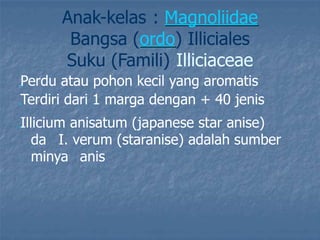 Anak-kelas : Magnoliidae
Bangsa (ordo) Illiciales
Suku (Famili) Illiciaceae
„Perdu atau pohon kecil yang aromatis
„Terdiri dari 1 marga dengan + 40 jenis
„Illicium anisatum (japanese star anise)
da I. verum (staranise) adalah sumber
minya anis
 