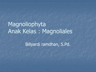 Magnoliophyta
Anak Kelas : Magnoliales
Billyardi ramdhan, S.Pd.
 
