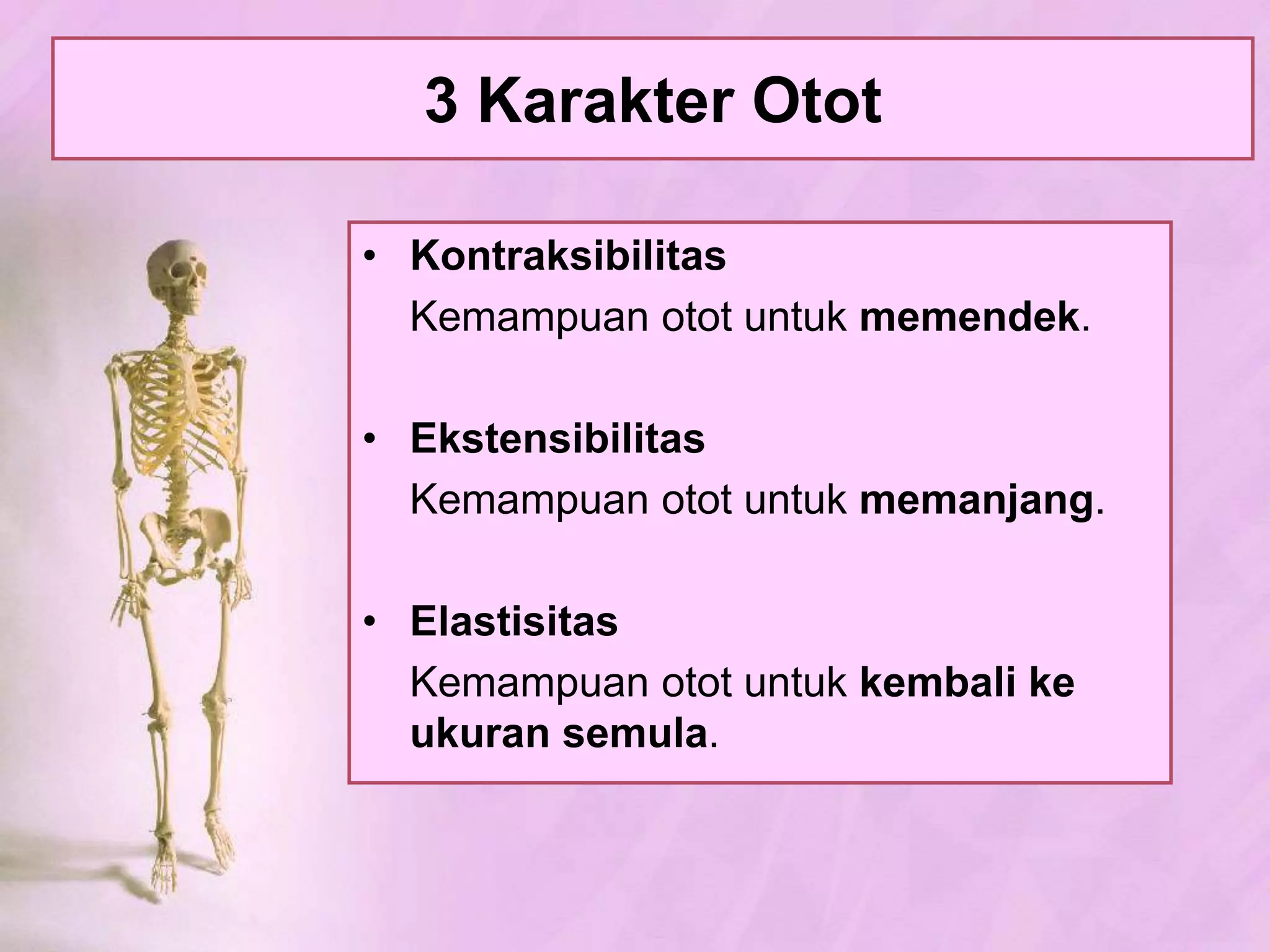 Kelainan & GangguanpadaTulangKekurangan Vitamin D (Osteomalasia).Memardanfraktura (Patahtulangtertutup, patahtulangterbuka, & Fisura).Lordosis, kifosis, danskoliosis.Nekrosa.Gangguanpersendian (Dislokasi, ankilosis, terkilir, artritis)Serangankumanpadasendi (Infeksigonorea, sifilis, layuhsendi).