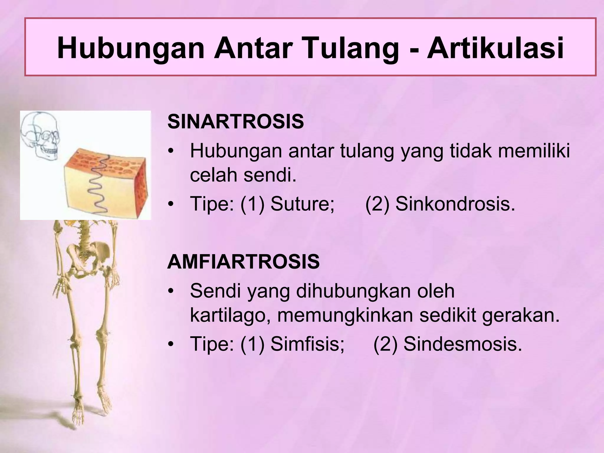 PembentukanTulang - Osifikasi