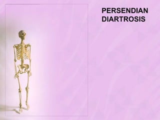 FungsiTulangMemberibentuk.Melindungialattubuh yang vital.Menahan & menegakkantubuh.Tempatperlekatanotot.Tempatmenyimpan mineral terutamakalsium & fosfor.Tempatpembentukanseldarah.Tempatmenyimpanenergi (lemakdisumsumkuningtulang).