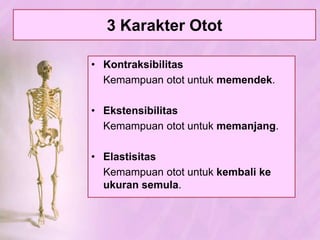 Kelainan & GangguanpadaTulangKekurangan Vitamin D (Osteomalasia).Memardanfraktura (Patahtulangtertutup, patahtulangterbuka, & Fisura).Lordosis, kifosis, danskoliosis.Nekrosa.Gangguanpersendian (Dislokasi, ankilosis, terkilir, artritis)Serangankumanpadasendi (Infeksigonorea, sifilis, layuhsendi).