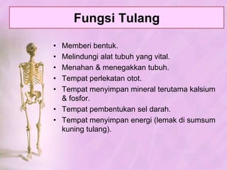 PembentukanTulangProses OSIFIKASI:Selmesenkimtulangrawan (kartilago) bagiandalamterisiosteoblasterbentukseltulangdaridalamkeluarterbentuksistemHaverssekelilingseltulangterbentuk protein matrikstulangkelakberupasenyawafosfordankapurmatrikstulangkeras.