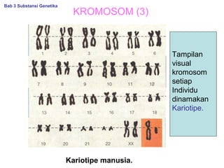 KROMOSOM (3)
Kariotipe manusia.
Bab 3 Substansi Genetika
Tampilan
visual
kromosom
setiap
Individu
dinamakan
Kariotipe.
 