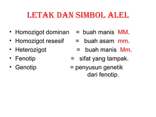 LETAK DAN SIMBOL ALEL
• Homozigot dominan = buah manis MM.
• Homozigot resesif = buah asam mm.
• Heterozigot = buah manis Mm.
• Fenotip = sifat yang tampak.
• Genotip = penyusun genetik
dari fenotip.
 