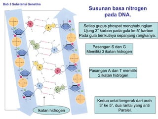 Susunan basa nitrogen
pada DNA.
Bab 3 Substansi Genetika
Setiap gugus phospat menghubungkan
Ujung 3” karbon pada gula ke 5” karbon
Pada gula berikutnya sepanjang rangkanya.
Pasangan S dan G
Memiliki 3 ikatan hidrogen
Pasangan A dan T memiliki
2 ikatan hidrogen
Ikatan hidrogen
Kedua untai bergerak dari arah
3” ke 5”, dua rantai yang anti
Paralel.
 