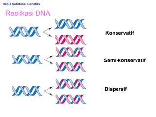 Replikasi DNA
Konservatif
Semi-konservatif
Dispersif
Bab 3 Substansi Genetika
 