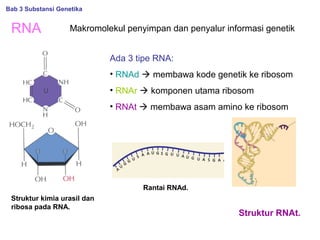 RNA
Struktur kimia urasil dan
ribosa pada RNA.
Struktur RNAt.
Bab 3 Substansi Genetika
Makromolekul penyimpan dan penyalur informasi genetik
Ada 3 tipe RNA:
• RNAd  membawa kode genetik ke ribosom
• RNAr  komponen utama ribosom
• RNAt  membawa asam amino ke ribosom
Rantai RNAd.
 