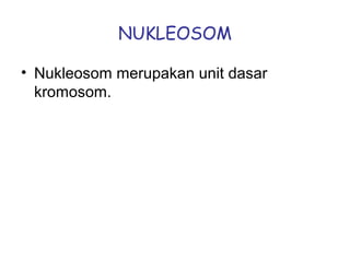 NUKLEOSOM
• Nukleosom merupakan unit dasar
kromosom.
 