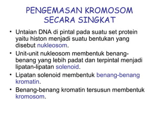 PENGEMASAN KROMOSOM
SECARA SINGKAT
• Untaian DNA di pintal pada suatu set protein
yaitu histon menjadi suatu bentukan yang
disebut nukleosom.
• Unit-unit nukleosom membentuk benang-
benang yang lebih padat dan terpintal menjadi
lipatan-lipatan solenoid.
• Lipatan solenoid membentuk benang-benang
kromatin.
• Benang-benang kromatin tersusun membentuk
kromosom.
 