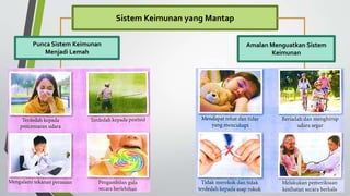 Sistem Keimunan yang Mantap
Punca Sistem Keimunan
Menjadi Lemah
Amalan Menguatkan Sistem
Keimunan
 