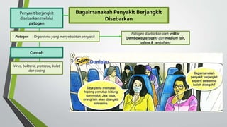 Bagaimanakah Penyakit Berjangkit
Disebarkan
Penyakit berjangkit
disebarkan melalui
patogen
Contoh
Patogen : Organisma yang menyebabkan penyakit
Patogen disebarkan oleh vektor
(pembawa patogen) dan medium (air,
udara & sentuhan)
Virus, bakteria, protozoa, kulat
dan cacing
 