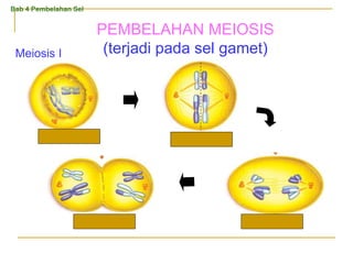 PEMBELAHAN MEIOSIS
(terjadi pada sel gamet)
Meiosis I
Profase I
Telofase I Anafase I
Metafase I
Bab 4 Pembelahan Sel
 