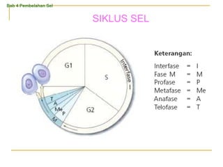 SIKLUS SEL
Bab 4 Pembelahan Sel
 