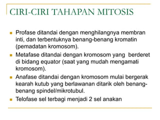 CIRI-CIRI TAHAPAN MITOSIS
 Profase ditandai dengan menghilangnya membran
inti, dan terbentuknya benang-benang kromatin
(pemadatan kromosom).
 Metafase ditandai dengan kromosom yang berderet
di bidang equator (saat yang mudah mengamati
kromosom).
 Anafase ditandai dengan kromosom mulai bergerak
kearah kutub yang berlawanan ditarik oleh benang-
benang spindel/mikrotubul.
 Telofase sel terbagi menjadi 2 sel anakan
 